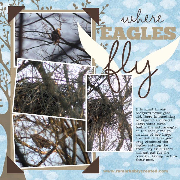 eaglesfly-002