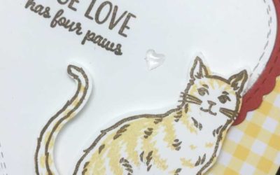 Introducing Nine Lives stamp set from Stampin’ UP!