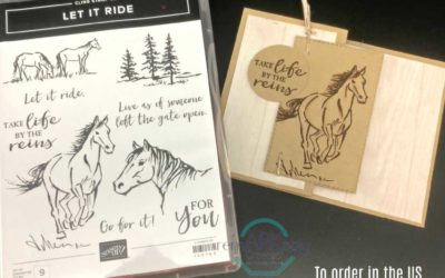 Let it Ride stamp set quick notecards