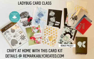 Create at home Stampin’ UP! Ladybug card class – 3 ways to enjoy