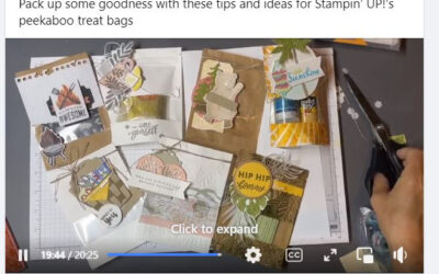 7 fun ideas with Stampin’ UP!’s new Peekaboo treat bags