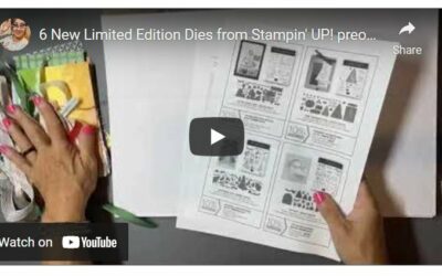 6 New Limited Edtion Dies & Stamp Set Bundles from Stampin’UP!