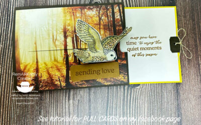 Quick & Easy Interactive Pull Card with Stampin’ UP! products