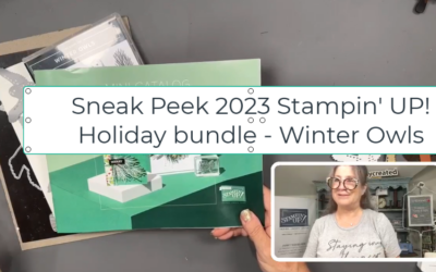 Sneak Peek 2023 Stampin’ UP! Holiday Mini Catalog Winter Owls Bundle