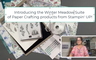 Stampin’ UP! 2023 Holiday Mini Catalog Product Suite Review – Winter Meadow