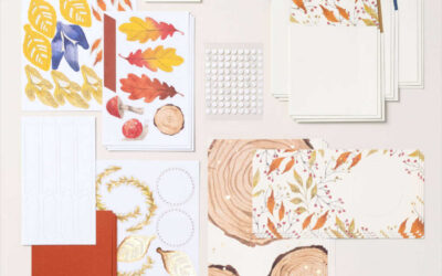 Autumn Abundance Paper Pumpkin Kits & Refills For Sale